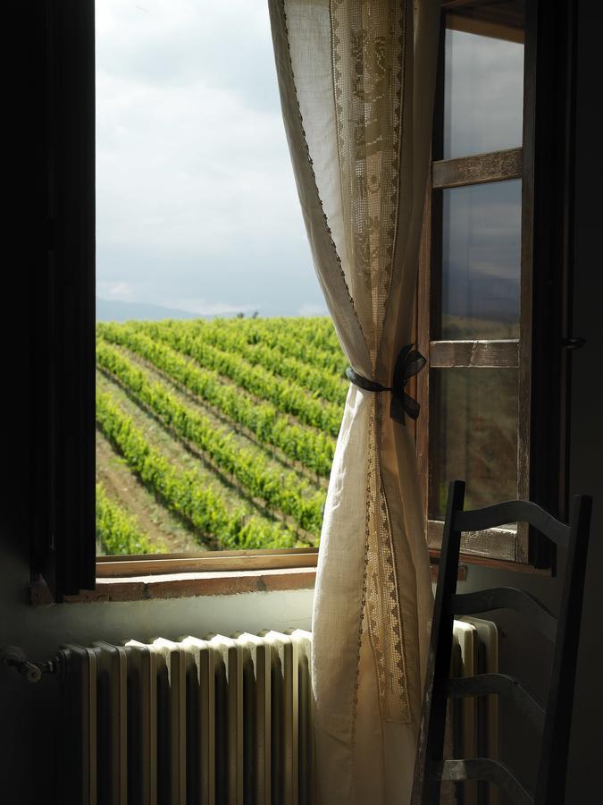 Contado San Lorenzo B&B And Wine Castilenti Exteriér fotografie