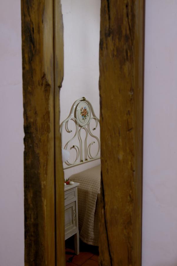 Contado San Lorenzo B&B And Wine Castilenti Exteriér fotografie